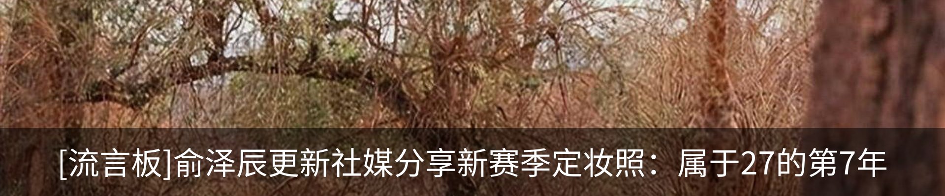 资讯动态